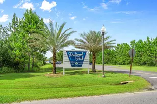 723 Loblolly Bay Dr, Santa Rosa Beach, FL 32459 - Photo 49