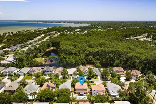 723 Loblolly Bay Dr, Santa Rosa Beach, FL 32459 - Photo 41