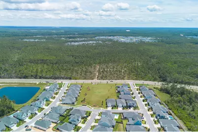 11 Bunting Lane, Inlet Beach, FL 32461 - Photo 57