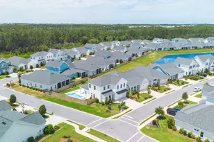 11 Bunting Ln, Inlet Beach, FL 32461 - Photo 55
