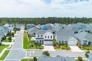 11 Bunting Ln, Inlet Beach, FL 32461 - Photo 53