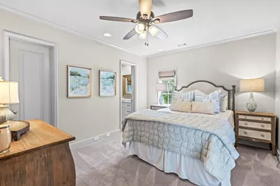 54 Tortola Lane, Santa Rosa Beach, FL 32459 - Photo 57