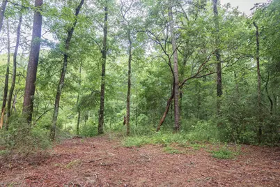 1966 Tower Lane, Westville, FL 32464 - Photo 15