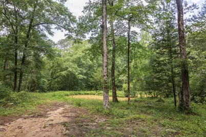 1966 Tower Lane, Westville, FL 32464 - Photo 5