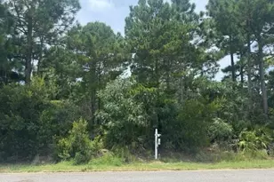 0000 Driftwood Point Rd, Santa Rosa Beach, FL 32459 - Photo 3