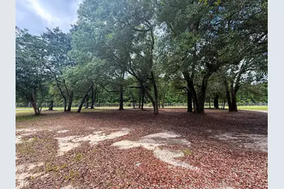 5703 Old River Road, Baker, FL 32531 - Photo 7