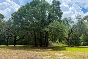 5703 Old River Rd, Baker, FL 32531 - Photo 7