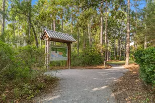 314 W Firethorn Cir, Inlet Beach, FL 32461 - Photo 77