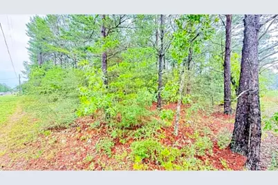 00 E Primrose Avenue, Defuniak Springs, FL 32433 - Photo 11