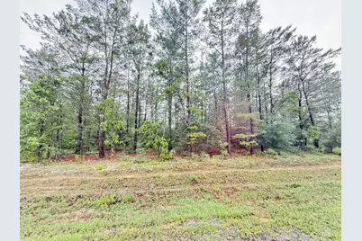00 E Primrose East Avenue, Defuniak Springs, FL 32433 - Photo 3