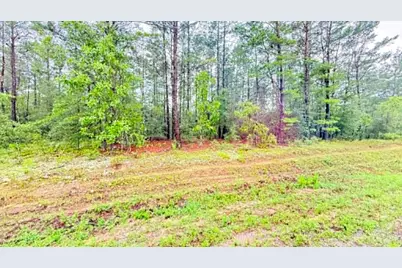 00 E Primrose East Avenue, Defuniak Springs, FL 32433 - Photo 5