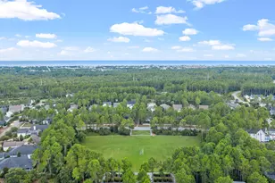 267 Log Landing St, Inlet Beach, FL 32461 - Photo 47