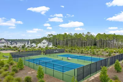 267 Log Landing Street, Inlet Beach, FL 32461 - Photo 45