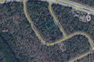 Lot 9 Flywheel Ln, Chipley, FL 32428 - Photo 1