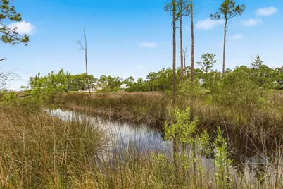 63 Gammage Street, Santa Rosa Beach, FL 32459 - Photo 3