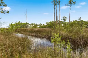 63 Gammage St, Santa Rosa Beach, FL 32459 - Photo 3