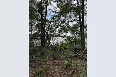 115 Clarks Landing Road, Defuniak Springs, FL 32433 - Photo 23