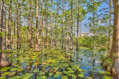 Lot 102-40 Cypress Walk, Santa Rosa Beach, FL 32459 - Photo 15