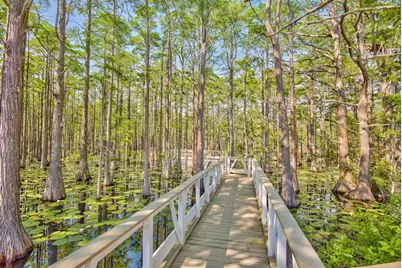 Lot 102-40 Cypress Walk, Santa Rosa Beach, FL 32459 - Photo 59