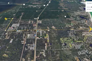 151 Southern Pnes Rd, Santa Rosa Beach, FL 32459 - Photo 29