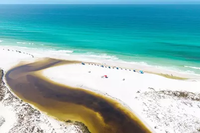1653 W Co Highway 30-A #UNIT 2104, Santa Rosa Beach, FL 32459 - Photo 57