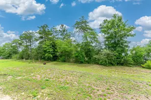 170 Mikaela Ave, Defuniak Springs, FL 32433 - Photo 33