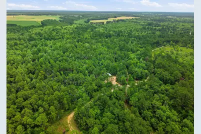 5450 Highway 393, Crestview, FL 32539 - Photo 45
