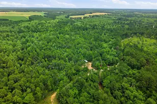 5450 Hwy 393, Crestview, FL 32539 - Photo 45