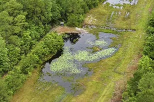 5450 Hwy 393, Crestview, FL 32539 - Photo 47