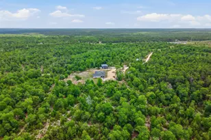 5450 Hwy 393, Crestview, FL 32539 - Photo 11