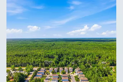 130 Mosaic Oaks Circle, Santa Rosa Beach, FL 32459 - Photo 45
