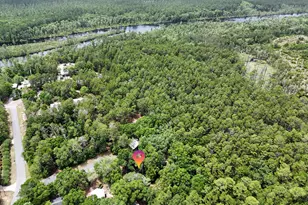 38 Creekside Waterview Pl, Freeport, FL 32439 - Photo 45