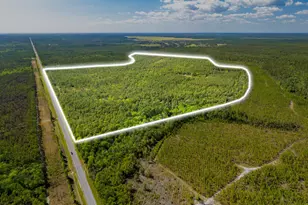 Tbd Hwy 20, Freeport, FL 32439 - Photo 1
