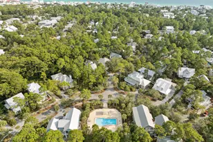 298 Cullman Ave, Santa Rosa Beach, FL 32459 - Photo 59