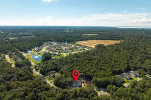 219 S J Hunter's Way, Freeport, FL 32439 - Photo 61