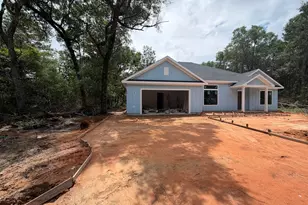 219 S J Hunter's Way, Freeport, FL 32439 - Photo 3