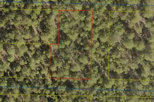 Lots 42-50 Tangerine St, Defuniak Springs, FL 32433 - Photo 1