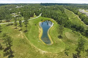 6827 Interlachen Ln, Laurel Hill, FL 32567 - Photo 51