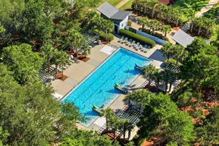 21 Blackwater St, Santa Rosa Beach, FL 32459 - Photo 77