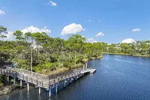 320 Naturewalk Blvd, Inlet Beach, FL 32461 - Photo 43