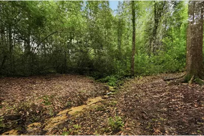 2612 Paddock Circle, Crestview, FL 32536 - Photo 51