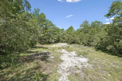 Tbd Barcelona Avenue, Santa Rosa Beach, FL 32459 - Photo 13