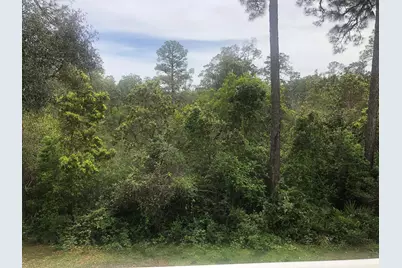 231 Gracie Lane, Niceville, FL 32578 - Photo 7