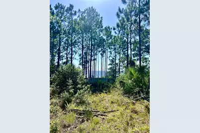 1021 Pearson Road, Milton, FL 32570 - Photo 5