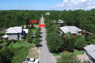 3 Preston Path, Santa Rosa Beach, FL 32459 - Photo 1
