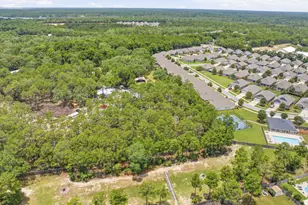 451 Lightning Bug Ln, Freeport, FL 32439 - Photo 53