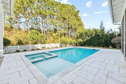 179 Splash Drive, Inlet Beach, FL 32461 - Photo 23