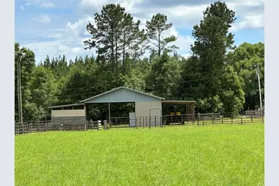 Parcel H County Road 20 / New Ebenezer Road, Florala, AL 36442 - Photo 35