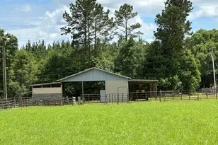 Parcel H County Road 20 / New Ebenezer Rd, Florala, AL 36442 - Photo 35