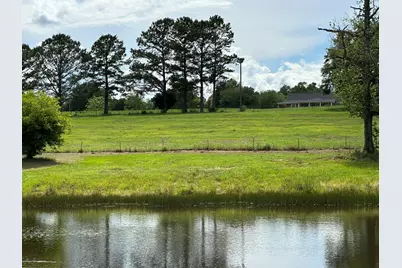 Parcel H County Road 20 / New Ebenezer Road, Florala, AL 36442 - Photo 3